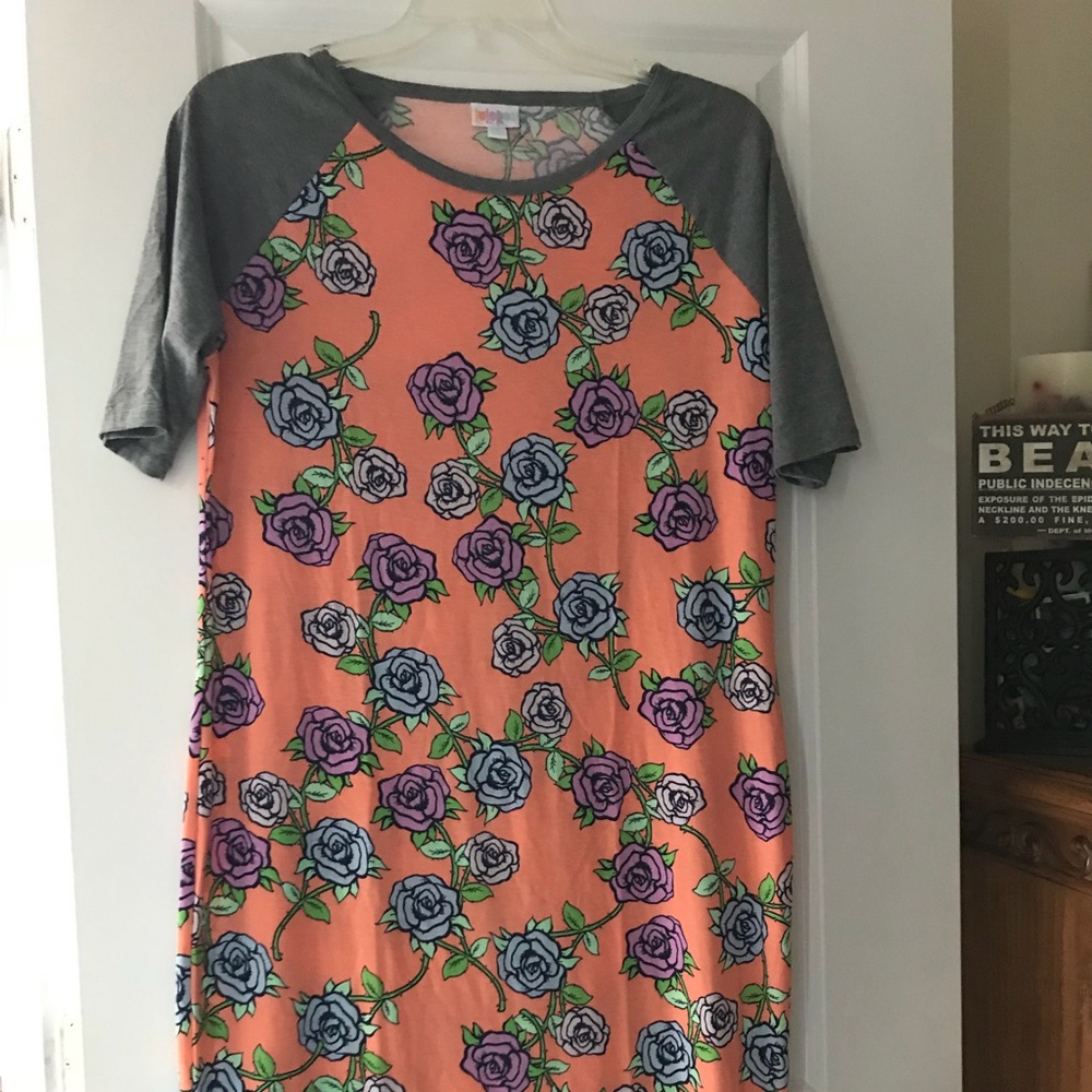 Worn once - LuLaRoe 2x Julia - Gorgeous!